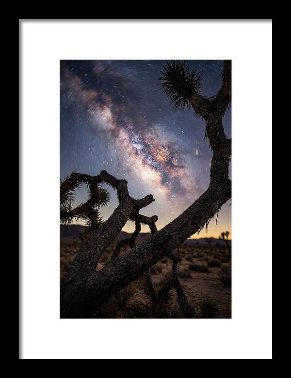 Milky Way Over Joshua Tree