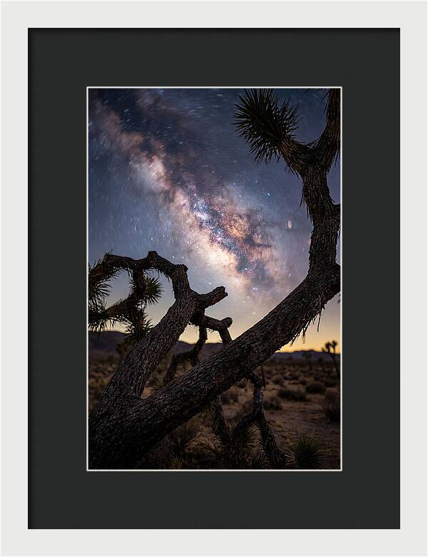 Milky Way Over Joshua Tree