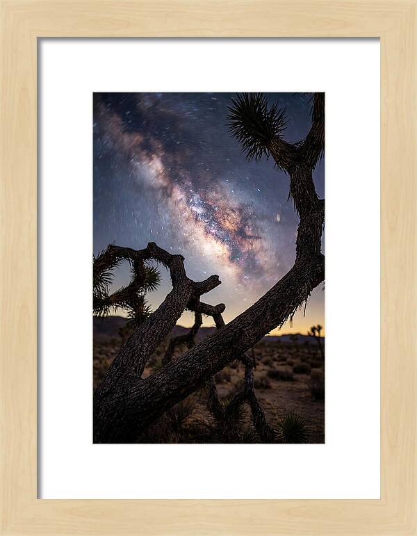 Milky Way Over Joshua Tree