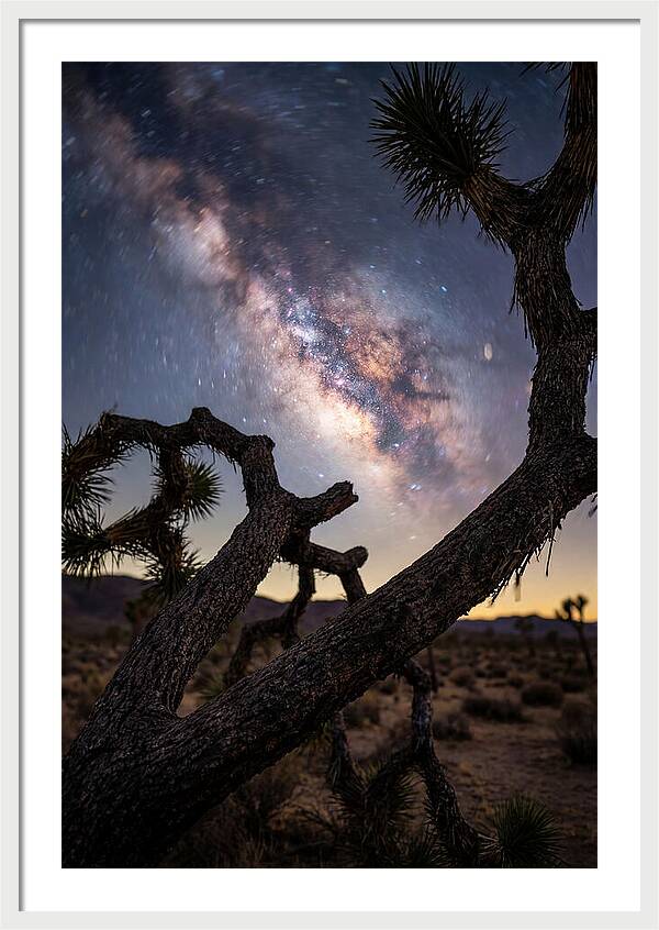 Milky Way Over Joshua Tree
