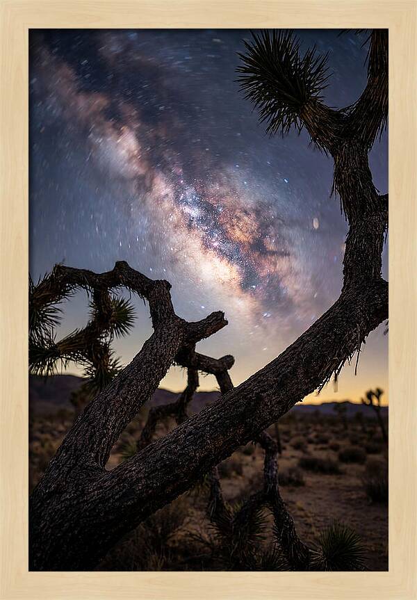 Milky Way Over Joshua Tree