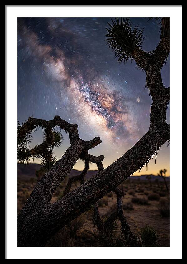 Milky Way Over Joshua Tree