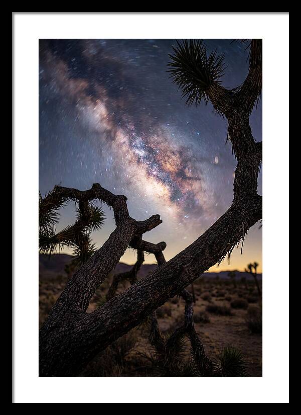 Milky Way Over Joshua Tree