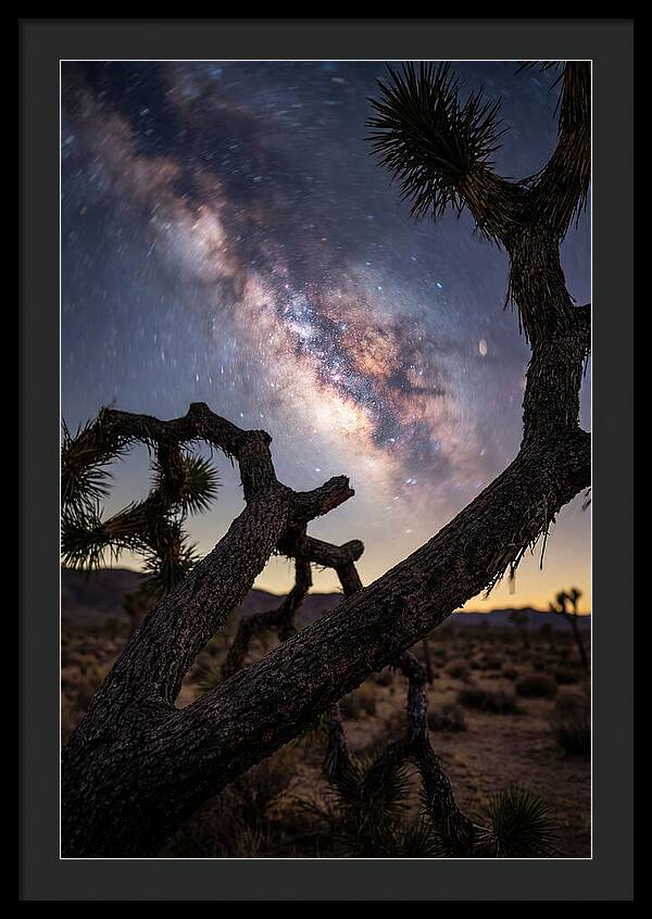 Milky Way Over Joshua Tree