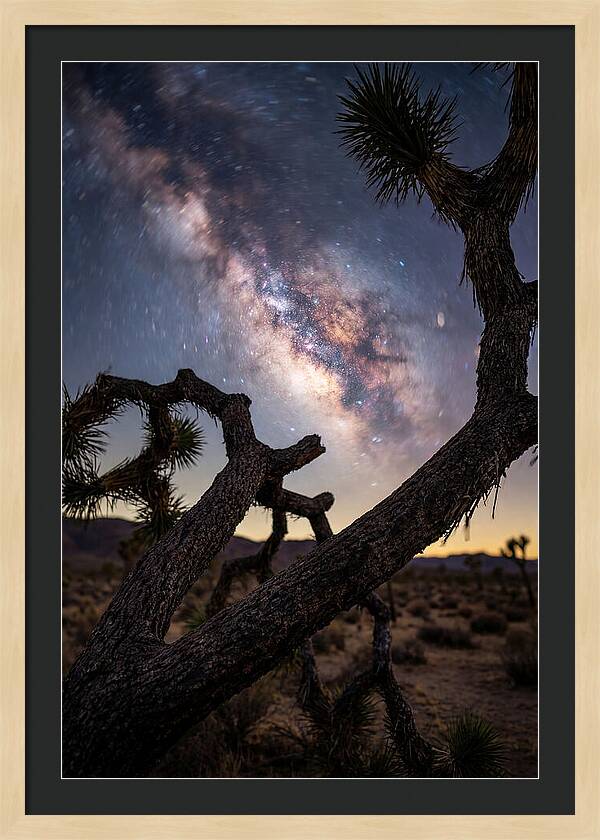 Milky Way Over Joshua Tree