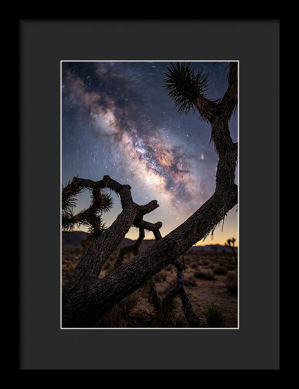 Milky Way Over Joshua Tree
