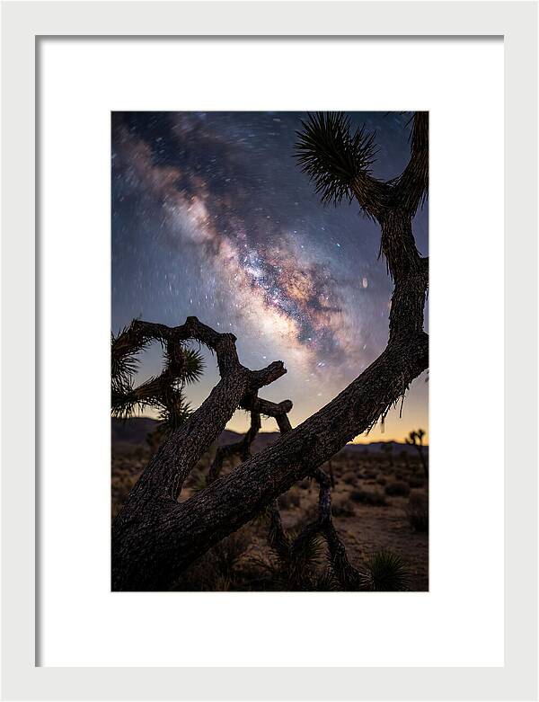 Milky Way Over Joshua Tree