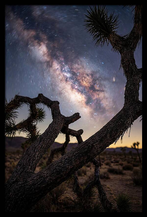 Milky Way Over Joshua Tree