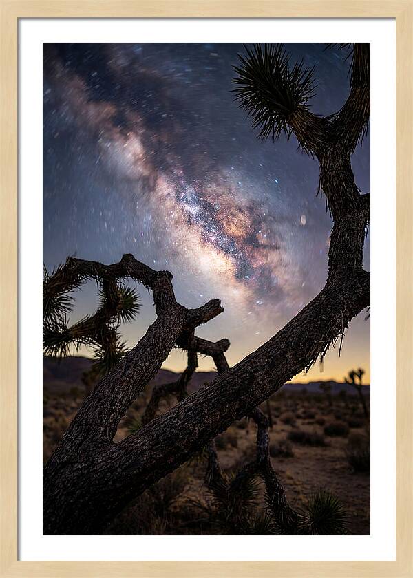 Milky Way Over Joshua Tree