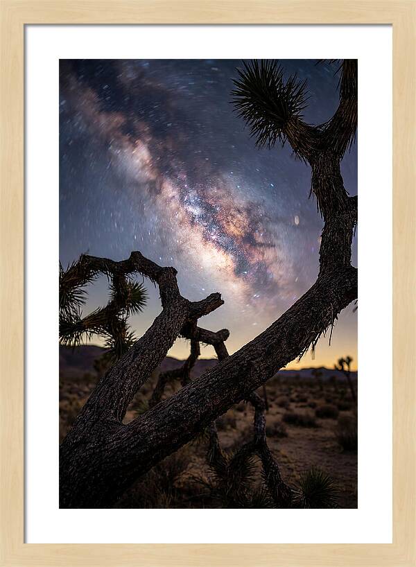 Milky Way Over Joshua Tree