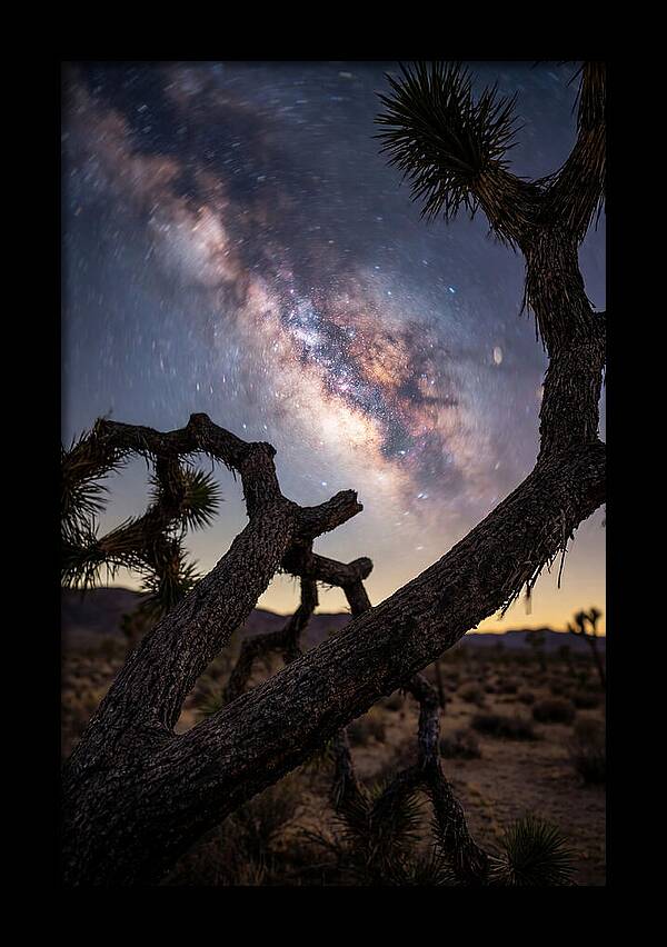 Milky Way Over Joshua Tree