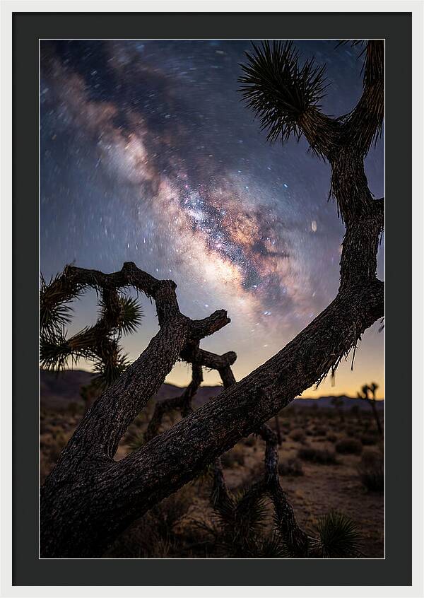 Milky Way Over Joshua Tree