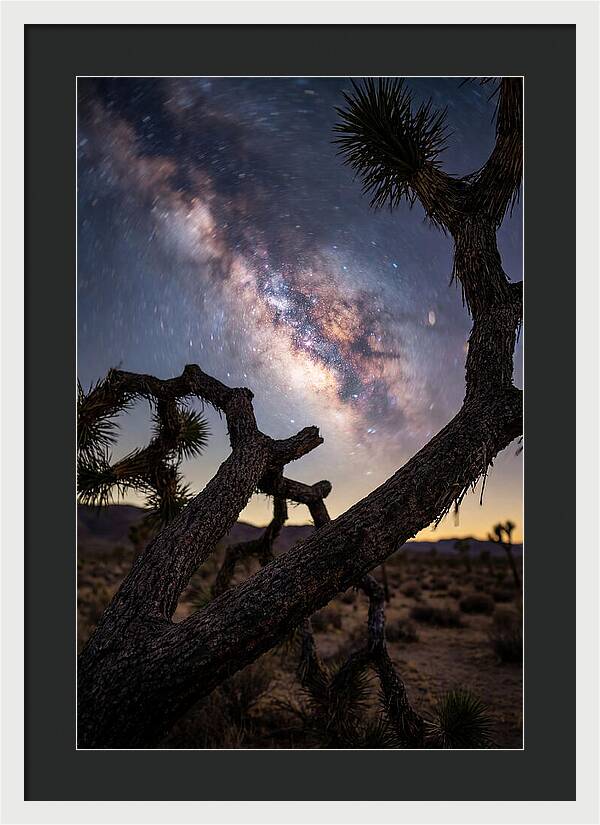 Milky Way Over Joshua Tree