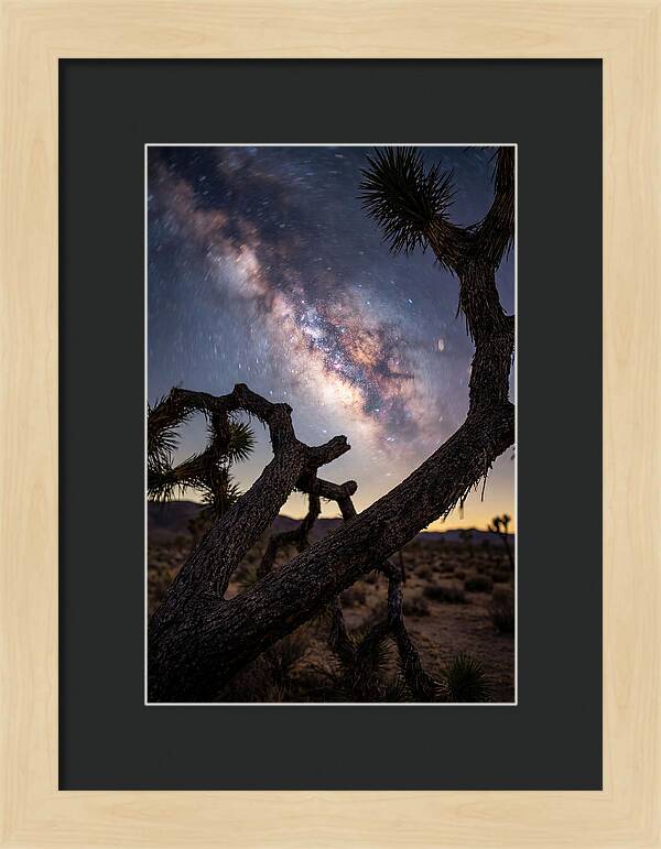 Milky Way Over Joshua Tree