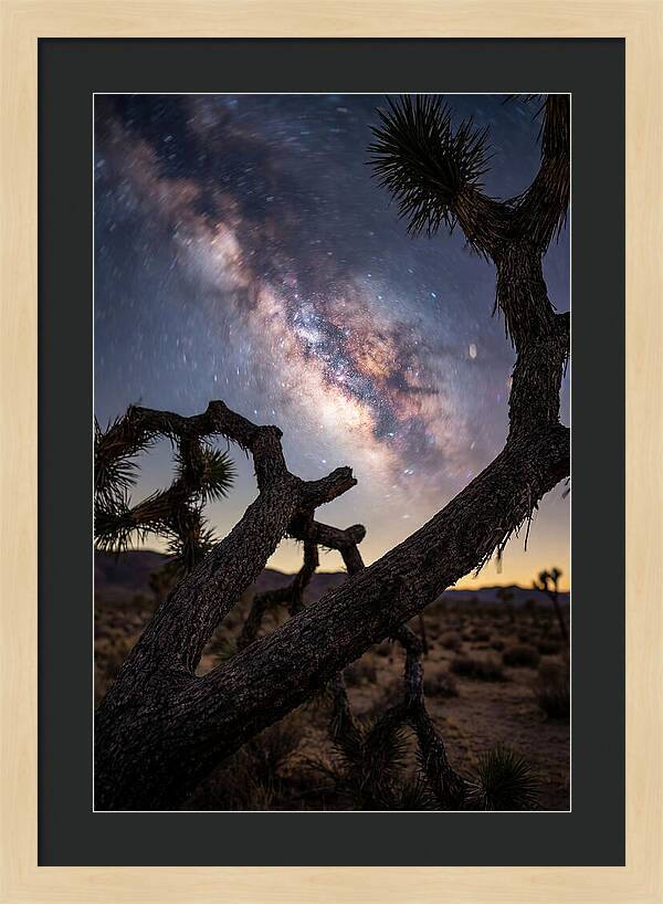 Milky Way Over Joshua Tree