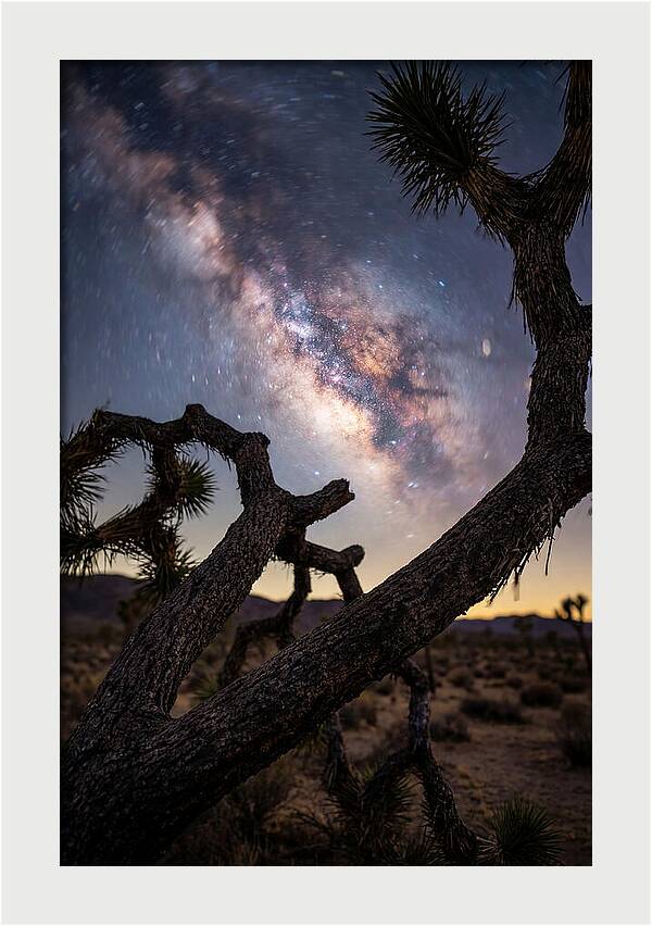 Milky Way Over Joshua Tree