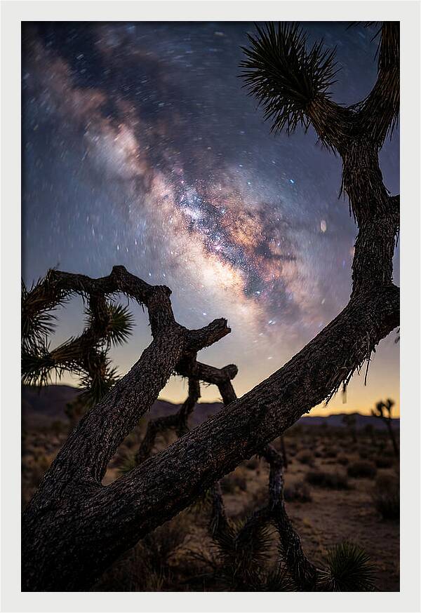 Milky Way Over Joshua Tree