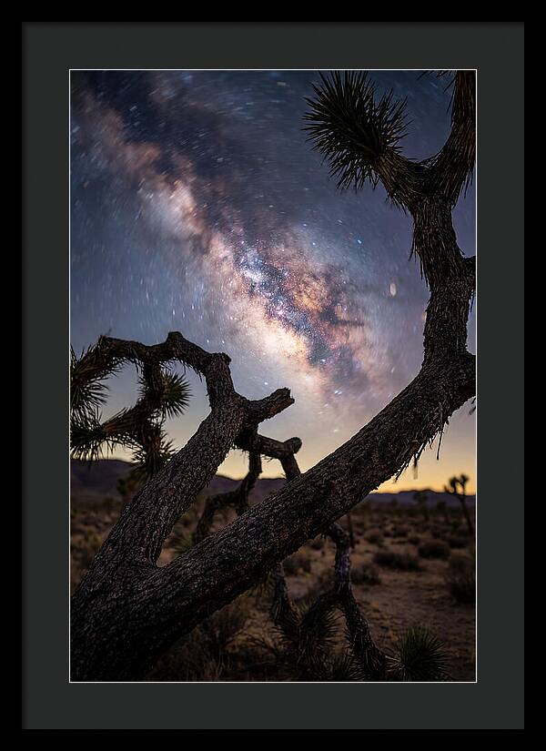 Milky Way Over Joshua Tree