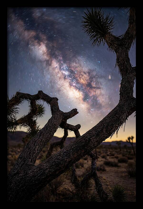 Milky Way Over Joshua Tree