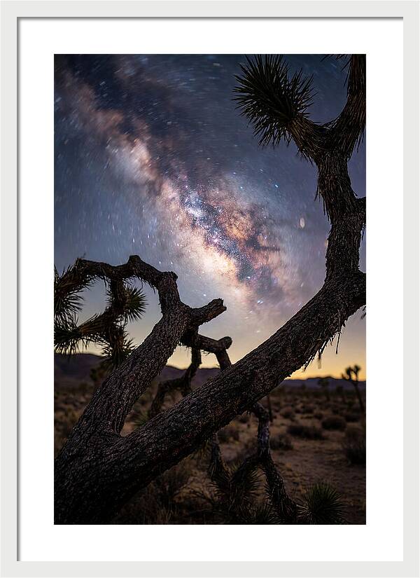 Milky Way Over Joshua Tree