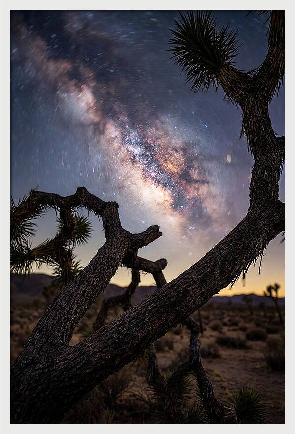 Milky Way Over Joshua Tree