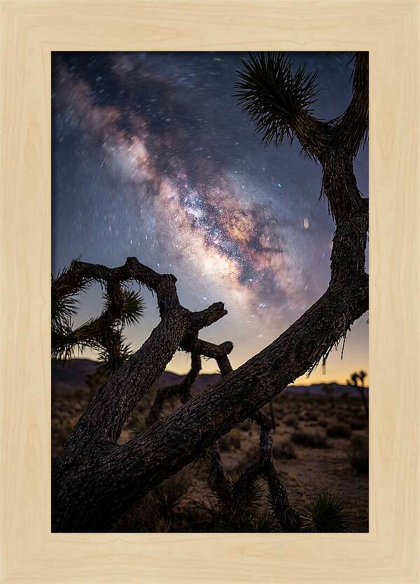 Milky Way Over Joshua Tree