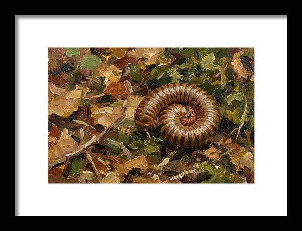 Millipede Among Autumn Leaves