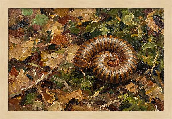 Millipede Among Autumn Leaves