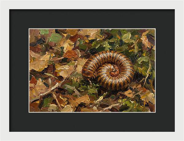 Millipede Among Autumn Leaves