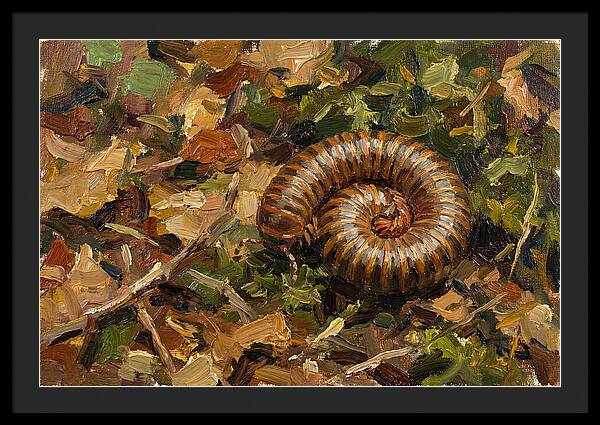 Millipede Among Autumn Leaves