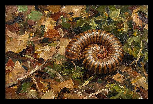 Millipede Among Autumn Leaves