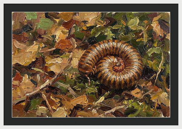 Millipede Among Autumn Leaves
