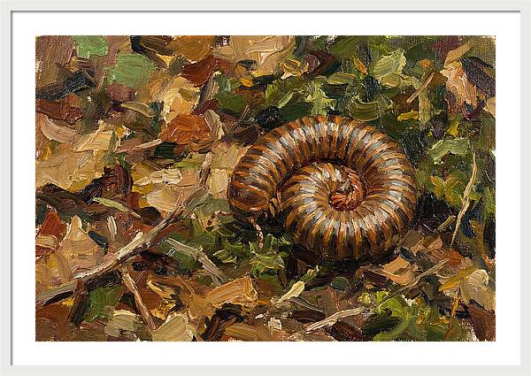 Millipede Among Autumn Leaves