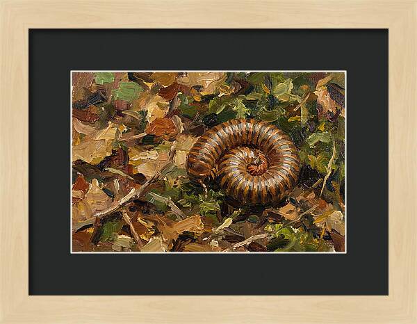 Millipede Among Autumn Leaves