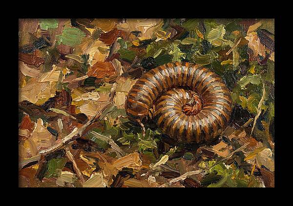 Millipede Among Autumn Leaves