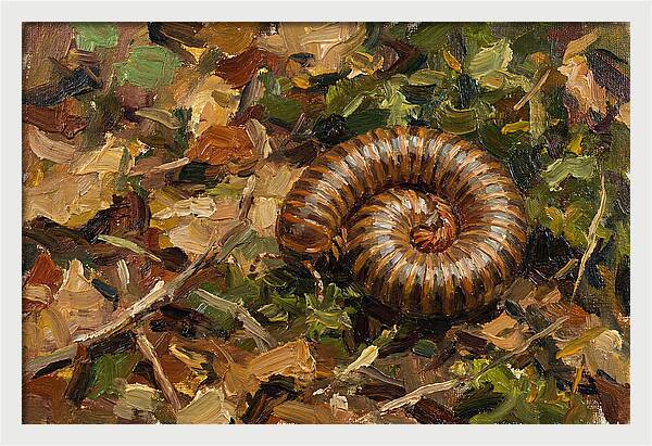 Millipede Among Autumn Leaves