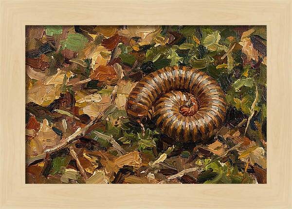 Millipede Among Autumn Leaves