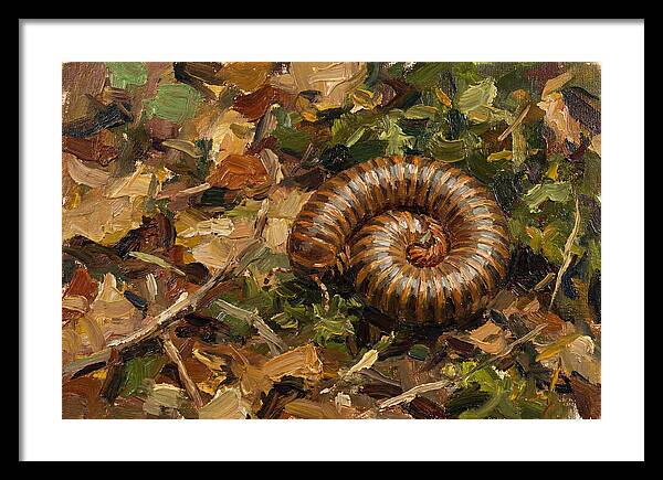 Millipede Among Autumn Leaves
