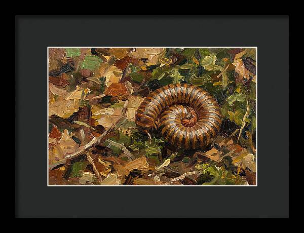 Millipede Among Autumn Leaves