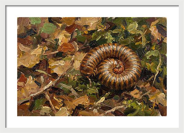 Millipede Among Autumn Leaves