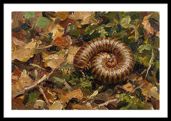 Millipede Among Autumn Leaves