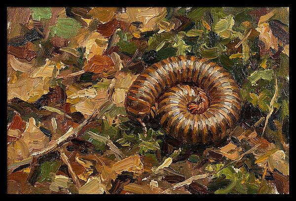 Millipede Among Autumn Leaves