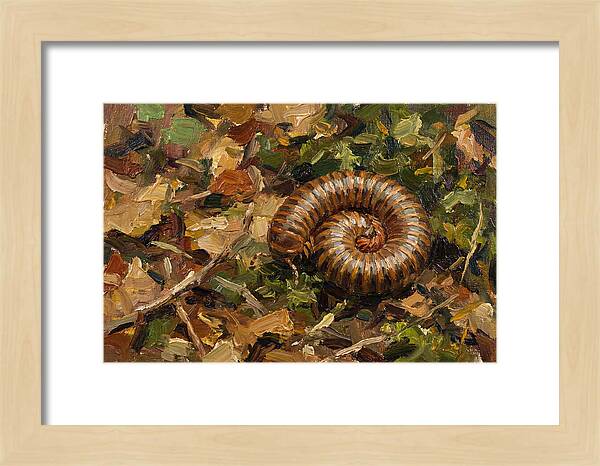 Millipede Among Autumn Leaves