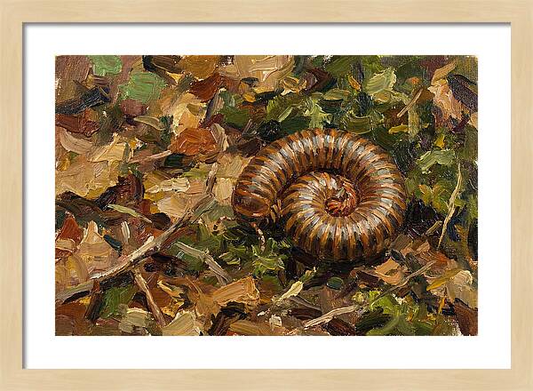 Millipede Among Autumn Leaves