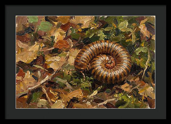 Millipede Among Autumn Leaves