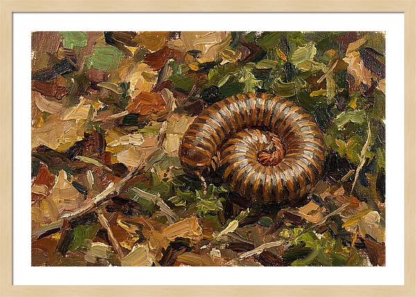 Millipede Among Autumn Leaves