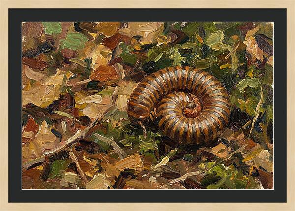 Millipede Among Autumn Leaves