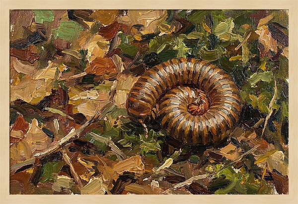 Millipede Among Autumn Leaves