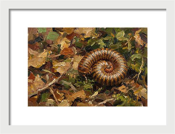 Millipede Among Autumn Leaves