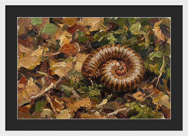 Millipede Among Autumn Leaves